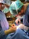Centro di endocrinochirurgia riceve accreditamento nazionale